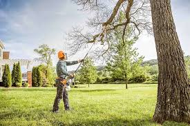 Best Hazardous Tree Removal  in Butler, WI